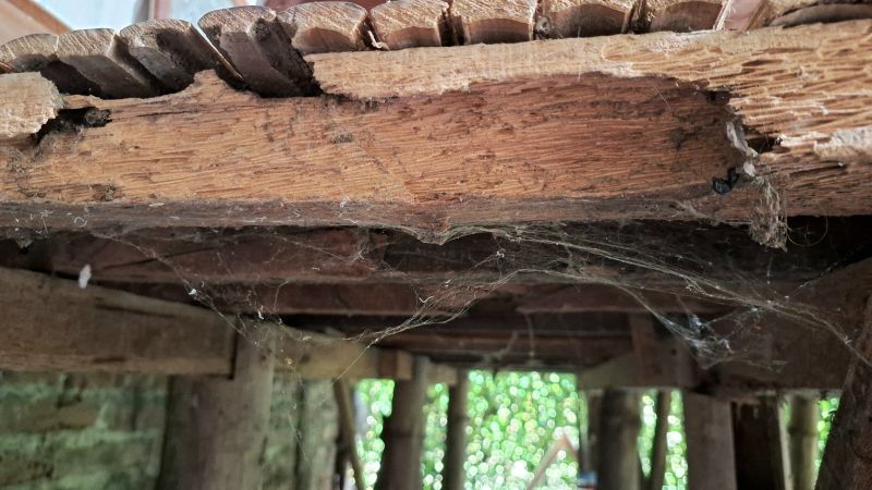 Wood Beam Repair